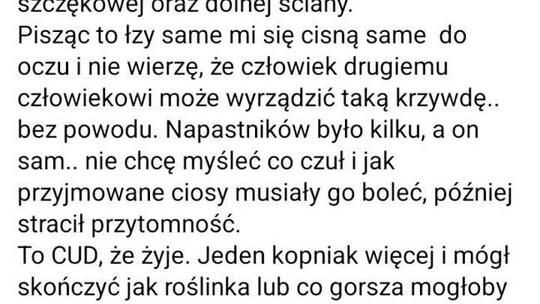 Brutalne pobicie podczas Dni Polanowa. Apel o nagrania i zdjęcia
