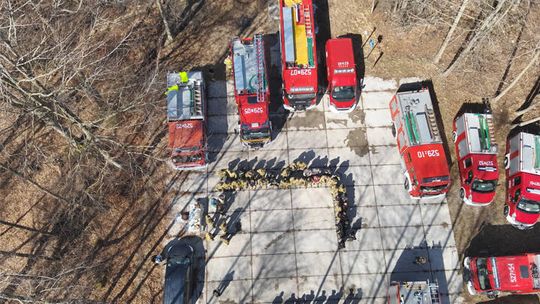 Jedni grillowali, a INNI ratowali las!