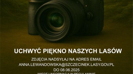 Konkurs fotograficzny "Leśne oblicze natury"