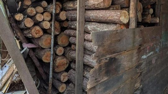 Myślał, że mu się upiecze kradzież. I tak go złapali! Myślał, że mu się upiecze kradzież. I tak go złapali!