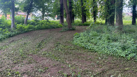 Nowe ścieżki spacerowe w Parku Conrada już w 2026 roku