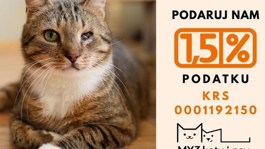 Podaruj swój 1,5% podatku dla Stowarzyszenia "My trzy, koty i psy" Podaruj swój 1,5% podatku dla Stowarzyszenia "My trzy, koty i psy"