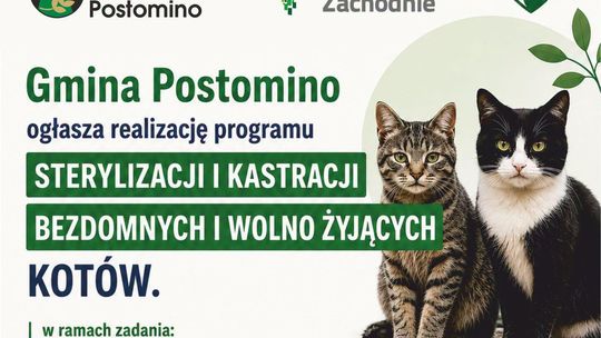 Postomino z dofinansowaniem 30 tys. zł na program ograniczenia bezdomności kotów oraz sterylizacje i kastracje