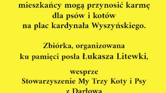 Sławno: Będą zbierać karmę dla psów i kotów. Akcja ma uczcić pamięć posła Łukasza Litewki