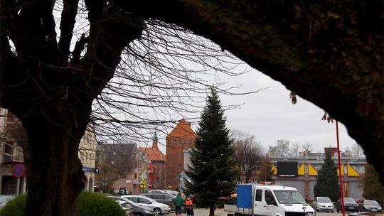 Sławno: Choinka już stoi