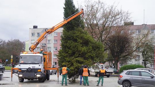 Sławno:  Idą święta – już ustawiają świąteczną choinkę