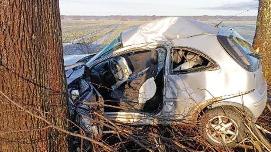 Sławno-Sławsko: Corsą w drzewo