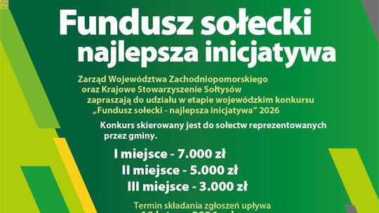 Sołeckie projekty na wagę złota. Który jest najlepszy?