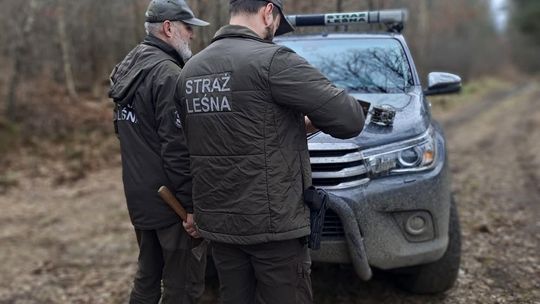 Straż Leśna rusza z akcją „Stroisz 26”. Kontrole w lasach i punktach sprzedaży do 31 października