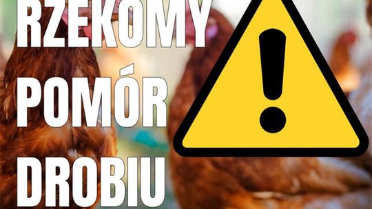 Uwaga! Rzekomy pomór drobiu!