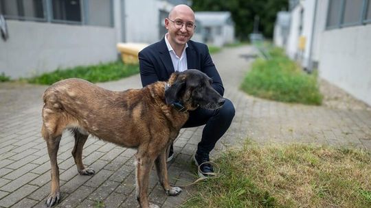 W trosce o czworonogi