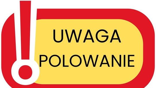 Zagrożenie w lesie Zagrożenie w lesie