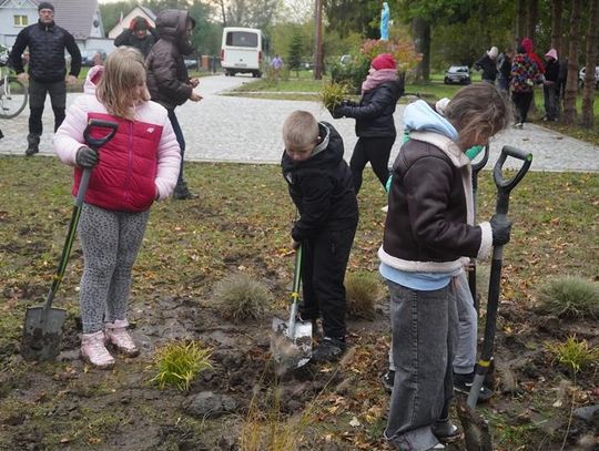 Boleszewo: Róże dla Najświętszego Serca Jezusa