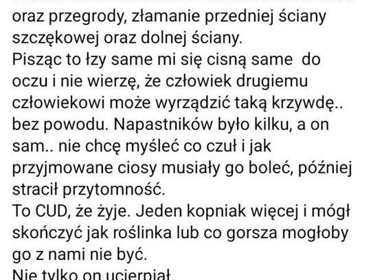 Brutalne pobicie podczas Dni Polanowa. Apel o nagrania i zdjęcia