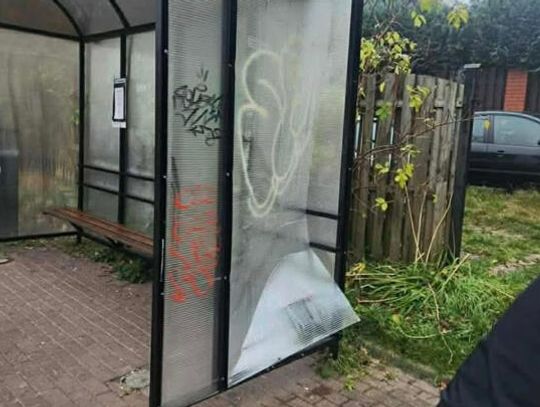 Co robią nasze kochane dzieci w czasie wolnym?