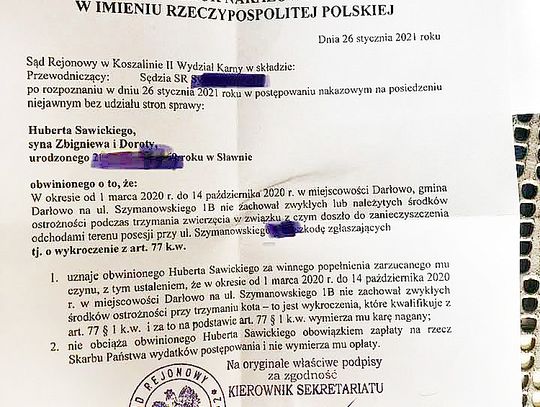 Darłowo: kocie odchody w sądzie, czyli ostrzeżenie znalezione w Internecie