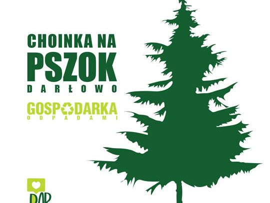 Darłowo: Oddaj nieodpłatnie świąteczną choinkę.