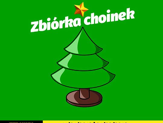 Darłowo: Zbiórka choinek