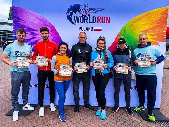Darłowskie Charty -  Wings for Life World Run