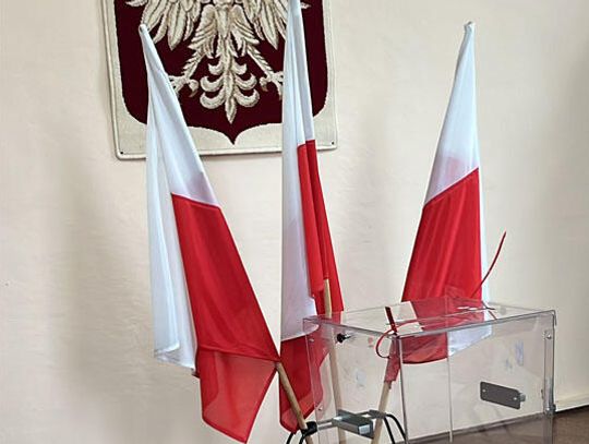 Jak zagłosowali wyborcy