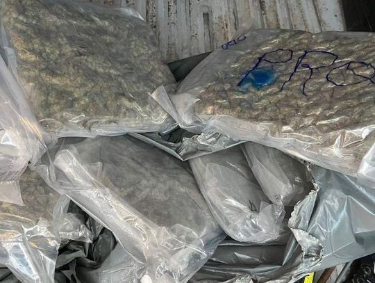 Jechał poobijanym autem, a w środku przewoził marihuanę