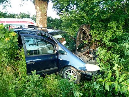 Kanin – Wszędzień:  Niebezpiecznie na drodze