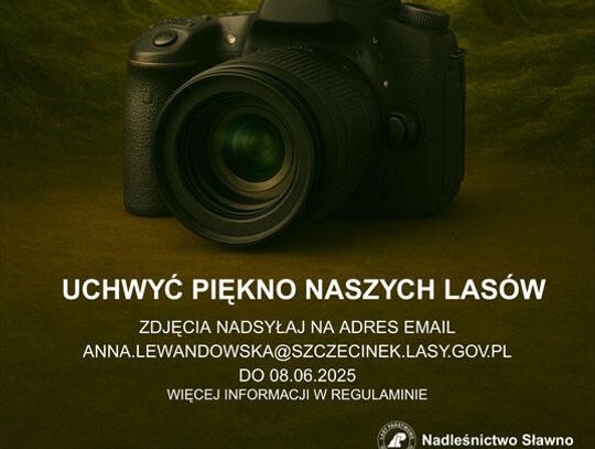 Konkurs fotograficzny "Leśne oblicze natury"