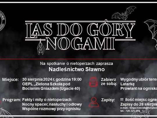 Las do góry nogami - Zaproszenie na Noc Nietoperzy