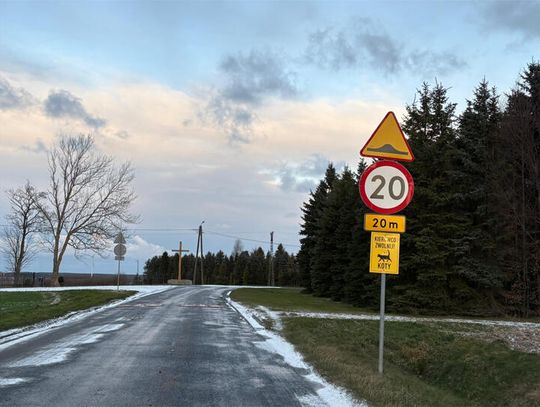 Marszewo: Uwaga koty! Marszewo: Uwaga koty!