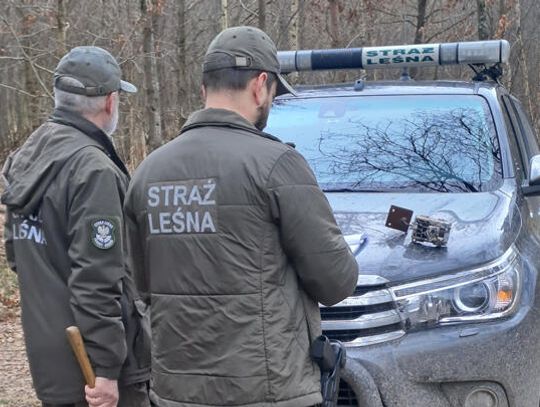 Monitoring ograniczy kradzież drewna i zaśmiecanie lasów