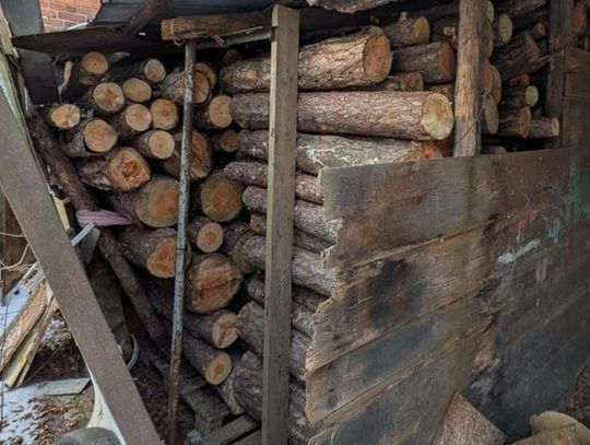 Myślał, że mu się upiecze kradzież. I tak go złapali!