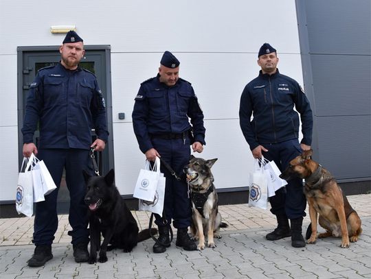 Najlepszy przewodnik psa patrolowo-tropiącego w regionie