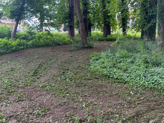 Nowe ścieżki spacerowe w Parku Conrada już w 2026 roku