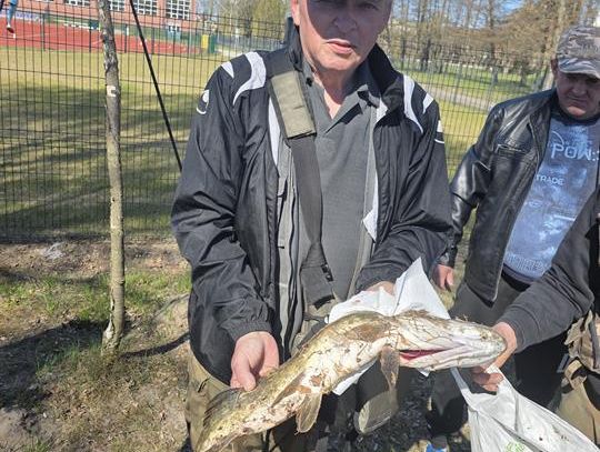 Pierwsze szczupaki "wyjęte" z wody