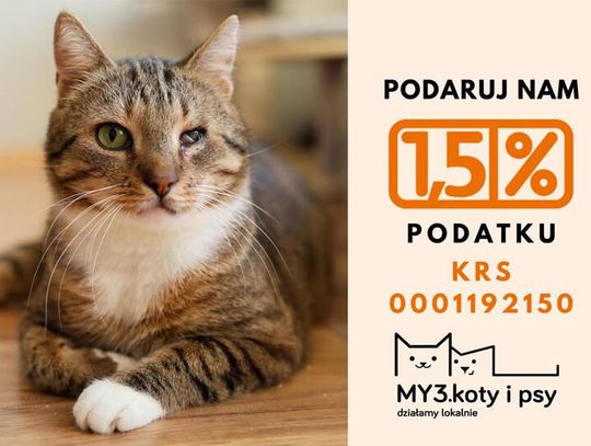 Podaruj swój 1,5% podatku dla Stowarzyszenia "My trzy, koty i psy"