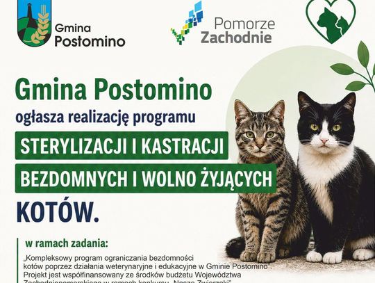 Postomino z dofinansowaniem 30 tys. zł na program ograniczenia bezdomności kotów oraz sterylizacje i kastracje