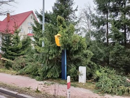 Powiat sławieński:  Nadia mocno rozrabiała (i jeszcze narozrabia)