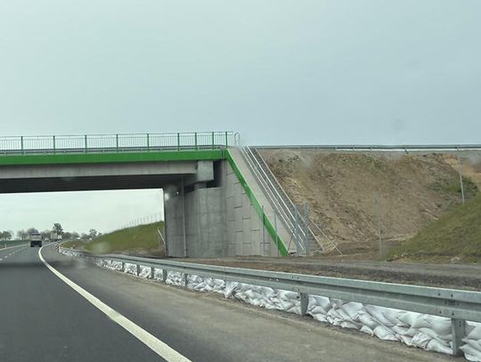 Przygotowują się na powódź?