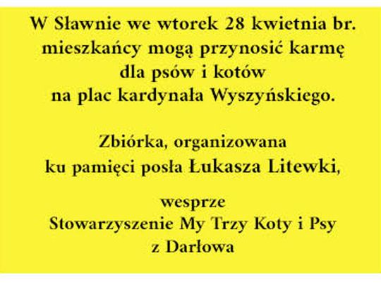 Sławno: Będą zbierać karmę dla psów i kotów. Akcja ma uczcić pamięć posła Łukasza Litewki