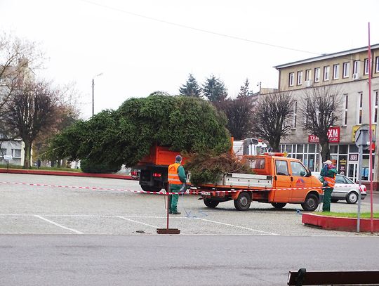 Sławno: Choinka już jest!