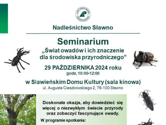 Sławno: Dlaczego owady są potrzebne? - seminarium