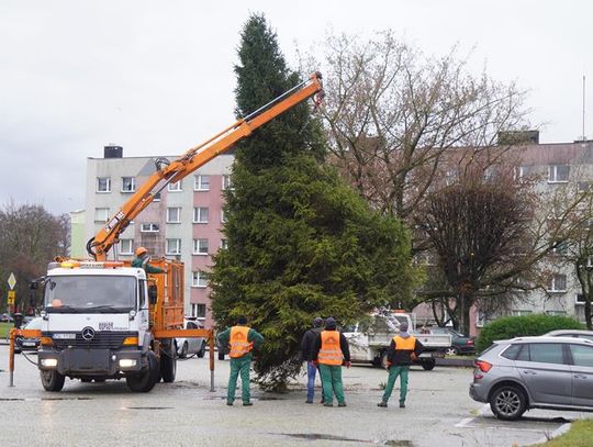 Sławno:  Idą święta – już ustawiają świąteczną choinkę