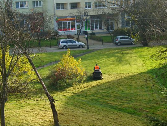 Sławno: Kosili trawnik w centrum