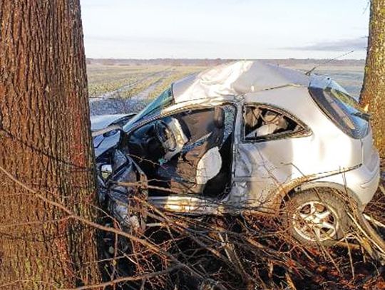 Sławno-Sławsko: Corsą w drzewo