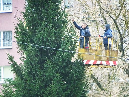 Sławno: Ubierają świąteczną choinkę...