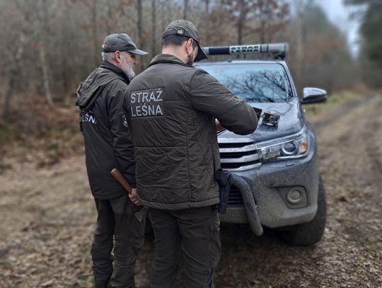 Straż Leśna rusza z akcją „Stroisz 26”. Kontrole w lasach i punktach sprzedaży do 31 października