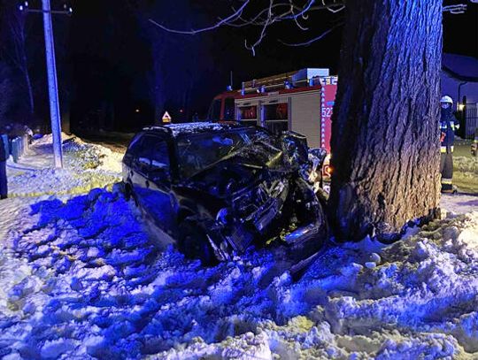 Tyń: Uderzył w drzewo