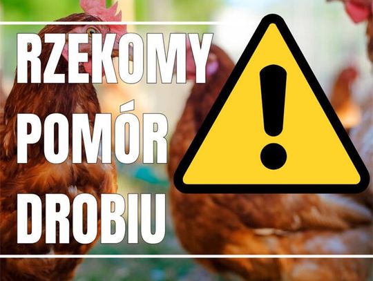 Uwaga! Rzekomy pomór drobiu!