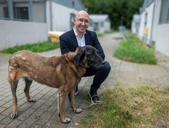 W trosce o czworonogi