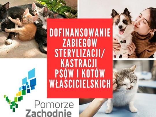 W trosce o zwierzęta